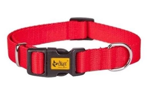 Dingo Collier à sangle pour chien avec fermoir en plastique Rouge 35cm x2