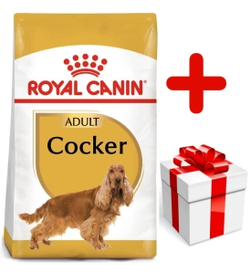Royal Canin Cocker Spaniel Adult 12kg+Surprise