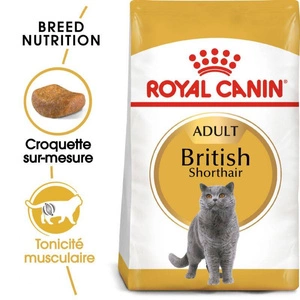 ROYAL CANIN British Shorthair Adult 10kg